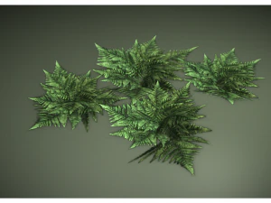 low poly fern 3D Model
