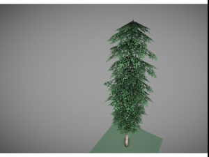 low poly pine tree 3D मॉडल