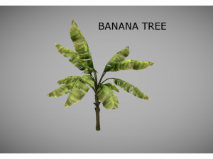 low poly jungle plants pack 3D Model