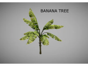 low poly jungle pack 3D Model