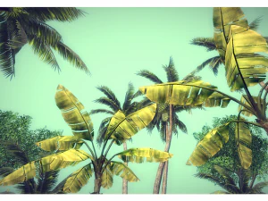 low poly jungle pack 3D Model