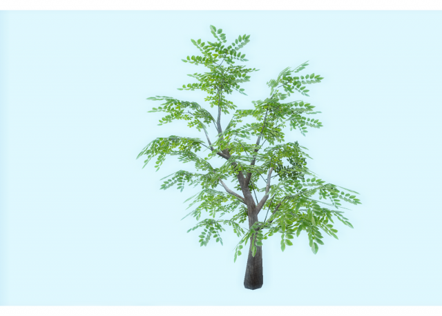 low poly tree 3D Model .c4d .max .obj .3ds .fbx .stl .blend 