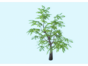 low poly tree 3D Model