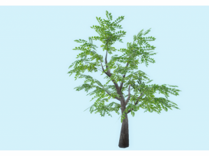 low poly tree 3D Model