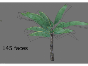 low poly tropical plant 3D Model