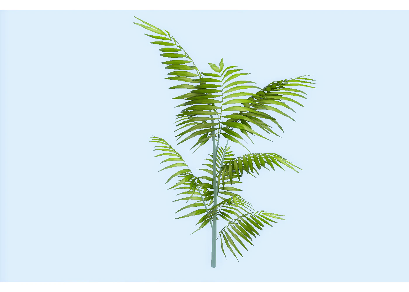 low poly plant 3D Model .c4d .max .obj .3ds .fbx .stl .blend 