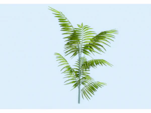 लो पॉली प्लांट 3D मॉडल