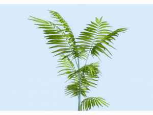 low poly plant 3D 모델