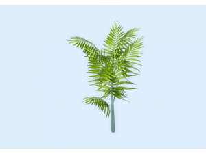 low poly plant 3D 모델
