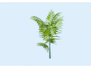 low poly plant 3D Model