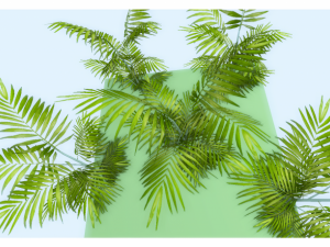 low poly plant 3D 모델