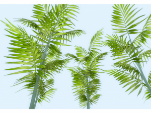 low poly plant 3D 모델