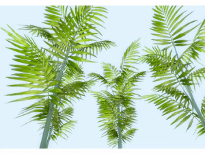 low poly plant 3D Model