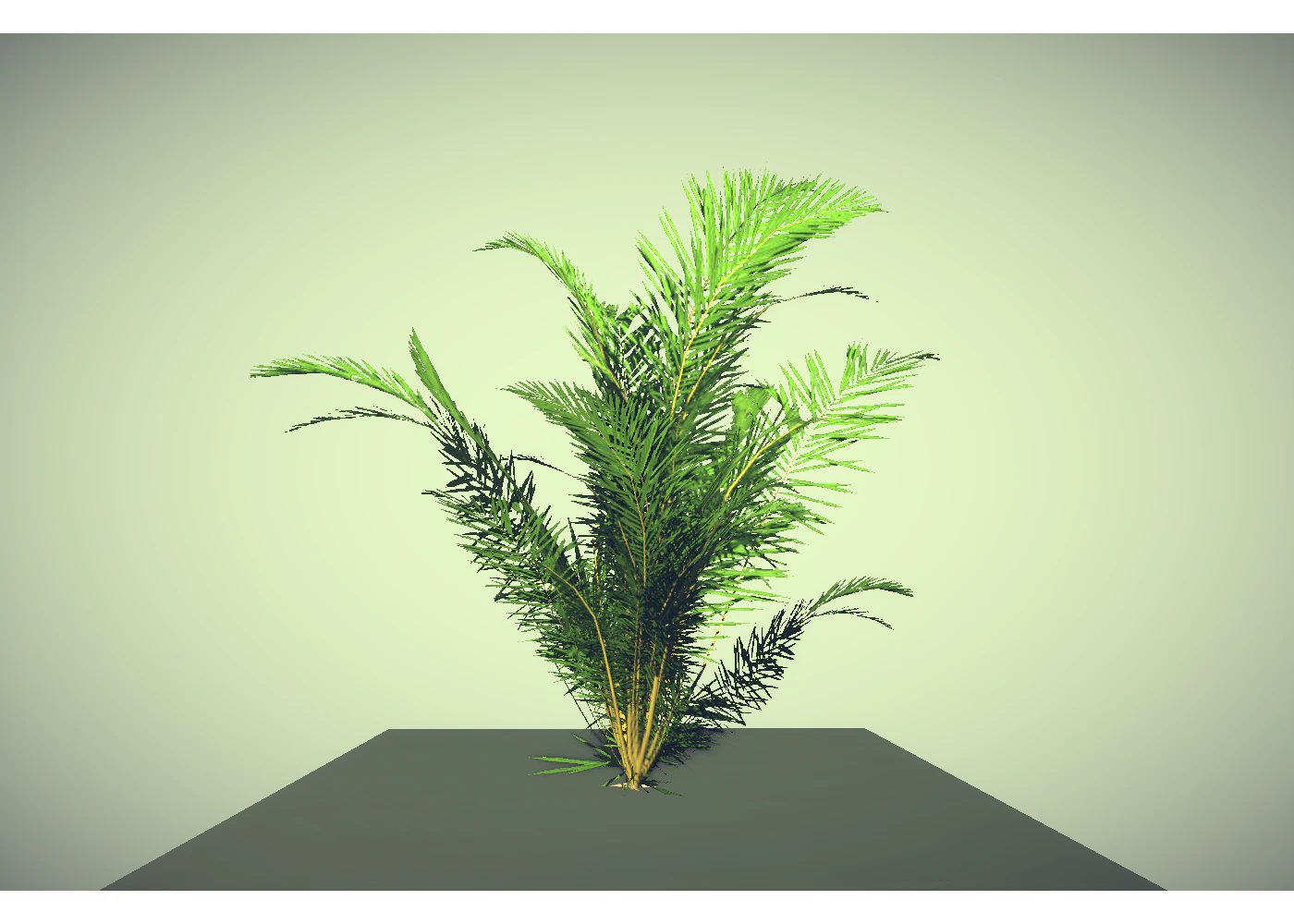 low poly plant 3D Model .c4d .max .obj .3ds .fbx .stl .blend 