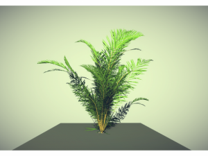 low poly plant Modèle 3D