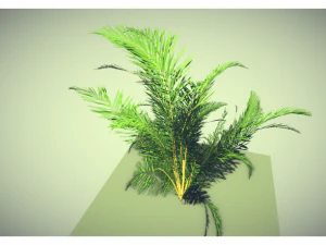 low poly plant 3D Model