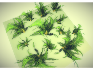 low poly plant 3Dモデル