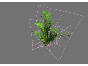 low poly plant 3D Model