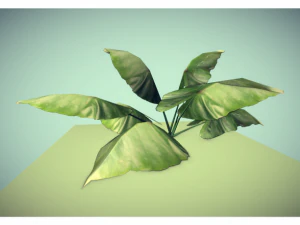 low poly plant 3D Model