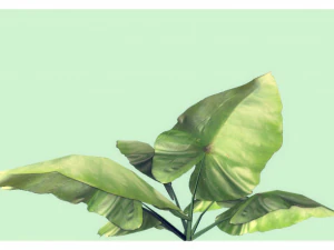 low poly plant 3D Model