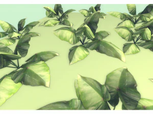 low poly plant 3D Model