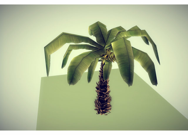 low poly palm 3D मॉडल .c4d .max .obj .3ds .fbx .stl .blend 