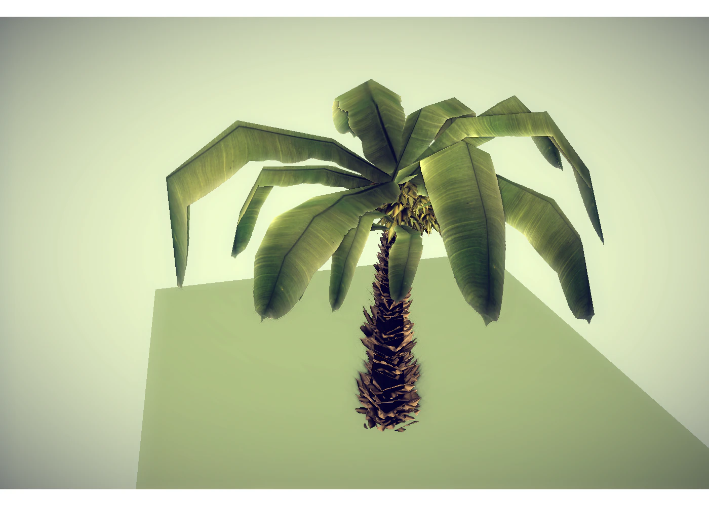 low poly palm 3D Model .c4d .max .obj .3ds .fbx .stl .blend