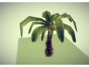 低聚棕榈 3D 模型