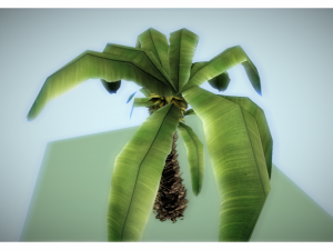 low poly palm 3D मॉडल