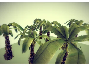 low poly palm 3D Model