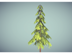 low poly pine tree 3D 模型