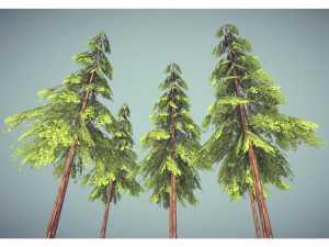 low poly pine tree 3D Model