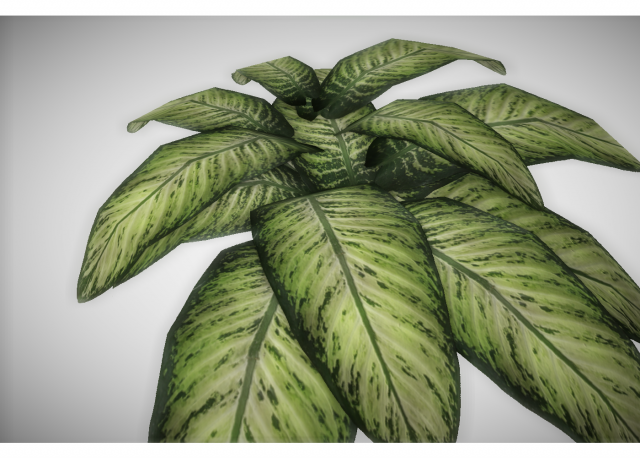 low poly plant 3D Модель .c4d .max .obj .3ds .fbx .stl .blend 