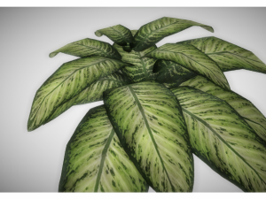 low poly plant 3D Model