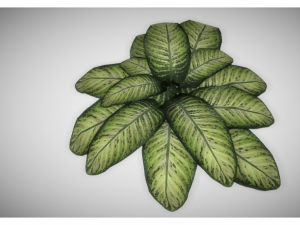 low poly plant 3D Модель