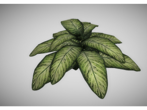 low poly plant 3D Модель