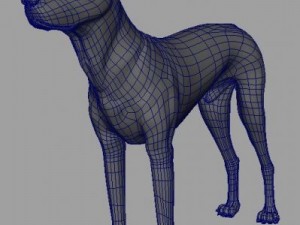 dogobjmbdae files 3D Model