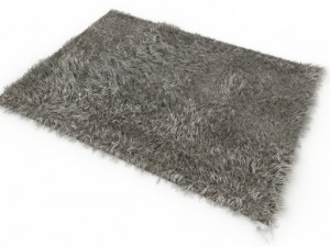 carpet hair 3Dモデル