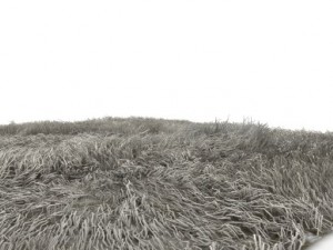 carpet hair Modelo 3D