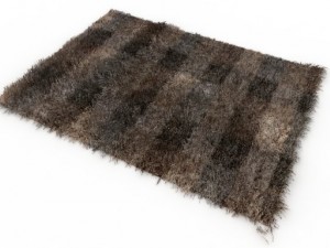 carpet hair Modelo 3D