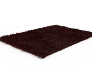 carpet hair Modelo 3D