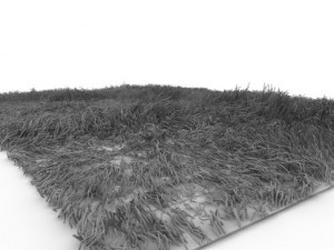 carpet hair Modelo 3D