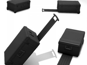 peli case 3D 模型