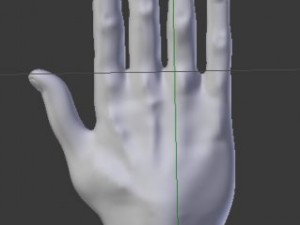 hand of assasin Model 3D