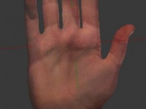 hand of assasin Model 3D