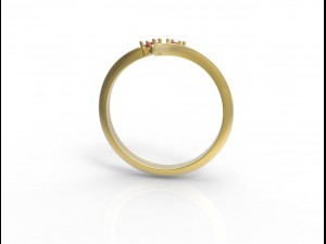 2 stone elegant ring 3D Model