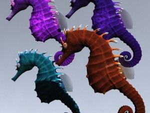 seahorse pack Modello 3D