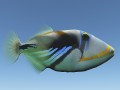triggerfish Modello 3D