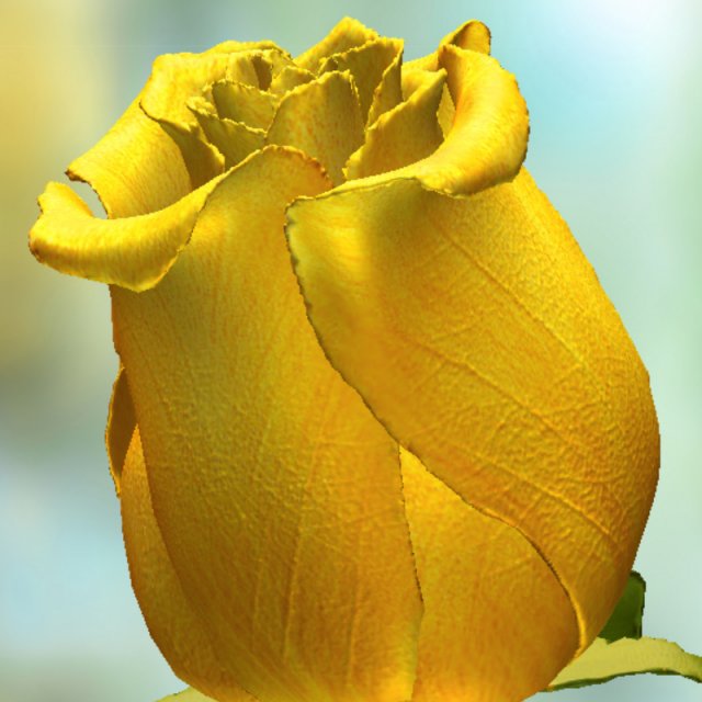 yellow rose 3D Model .c4d .max .obj .3ds .fbx .stl .blend 
