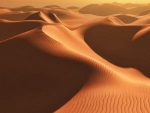 sand dunes for vue 3D Model